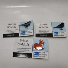 3 Rspb Pin Badges Blackbirds Red Squirrel On Cards British Wildlife For Birds