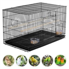 Large wide bird - cage, flight