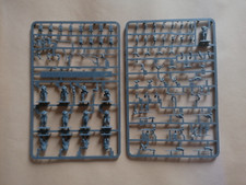 British Waterloo Infantry