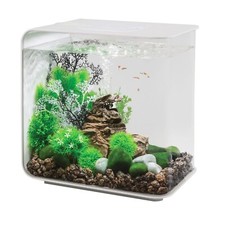 FULL SETUP - Oase Biorb Flow 30L Aquarium + Jewel Automatic Feeder + Heater