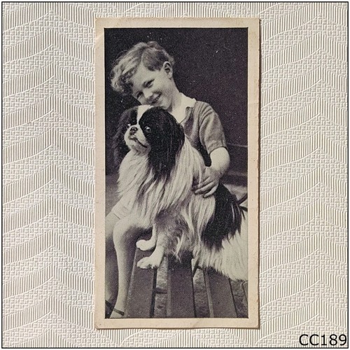 Carreras dogs fiend 1936 - dogs, #25