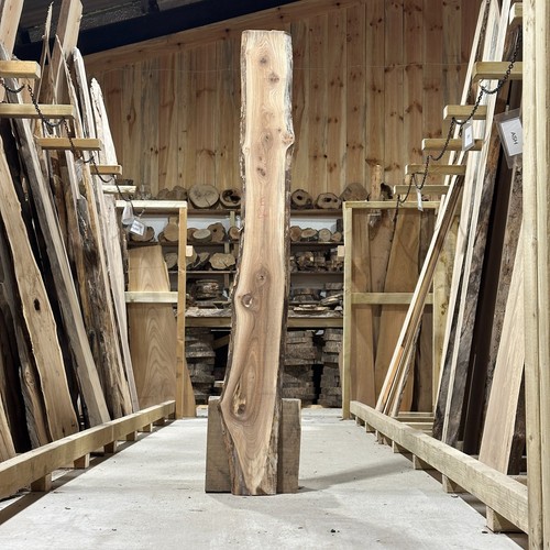 Elm plank board waney live - board,