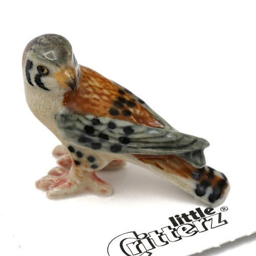 Little critterz falcon - critterz,