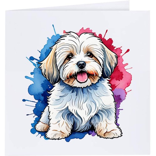Colourful havanese dog - 'colourful,