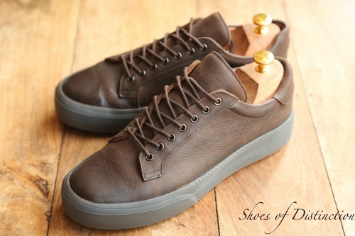 Oliver sweeney penacova - oliver, brown