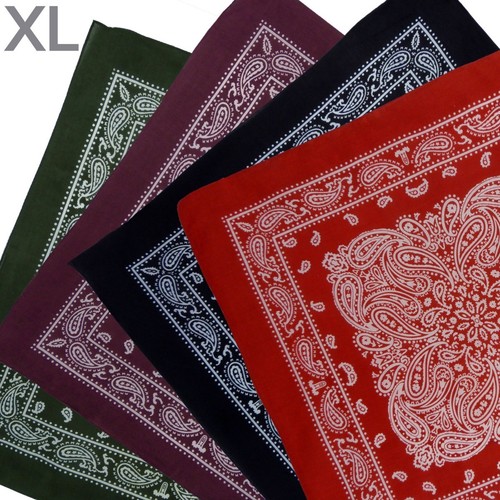 Montana paisley bandana - montana,