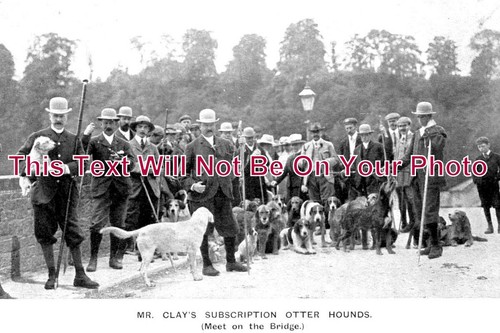 262 mr clays subscription - wl,