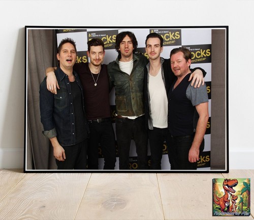 Snow patrol photo poster - snow,