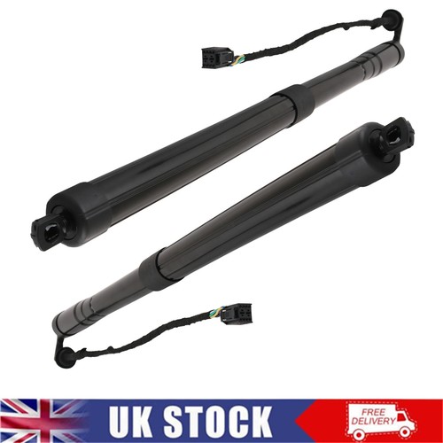 Rear tailgate boot gas - boot,