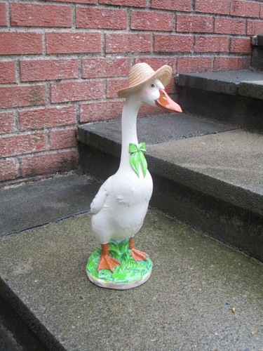 Large aylesbury duck - large,