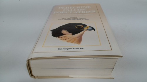 Peregrine falcon - peregrine,