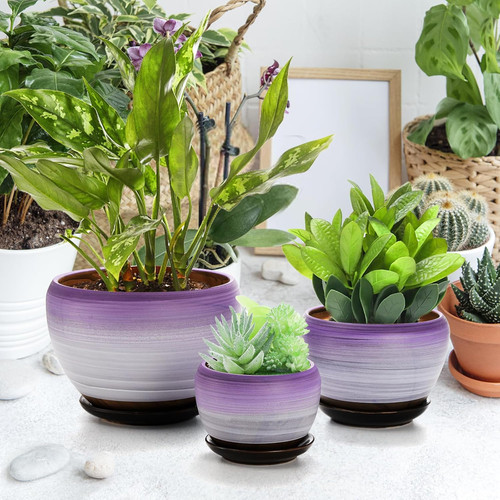 Set purple ceramic - set, 3