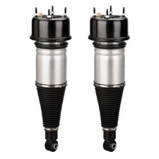 Pair Rear Air Suspension Strut