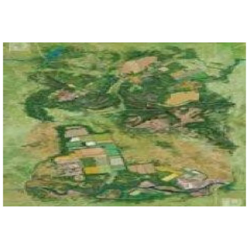 Wings glory game mat - wings,