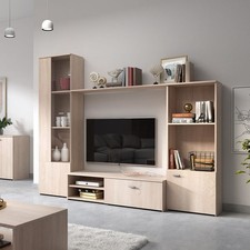 Modern Living Room furniture