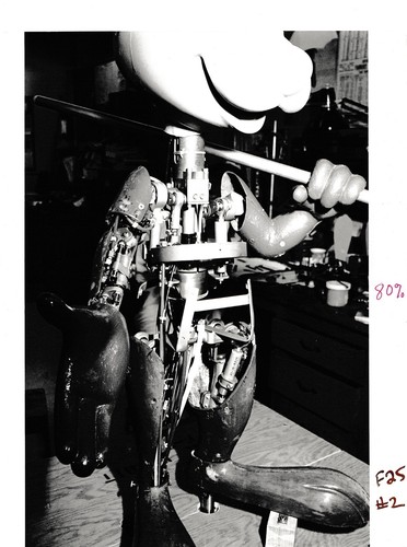 Wed imagineering splash - wed,