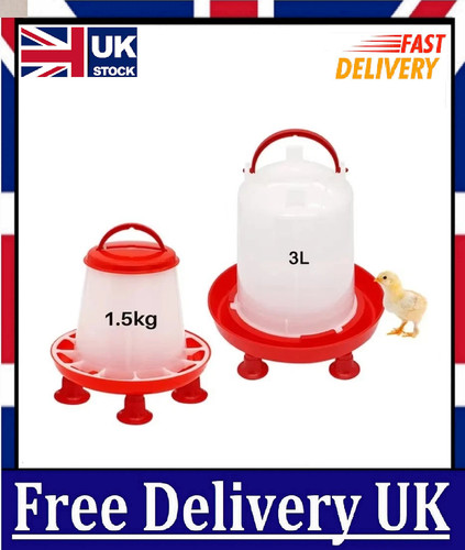 Chicken poultry feeder drinker - chicken,