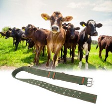 Cow Collar Goat Neck Strap 4