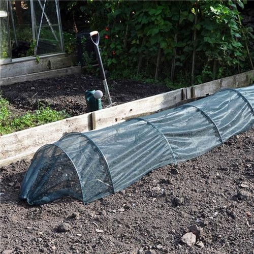 Net grow tunnel - net,