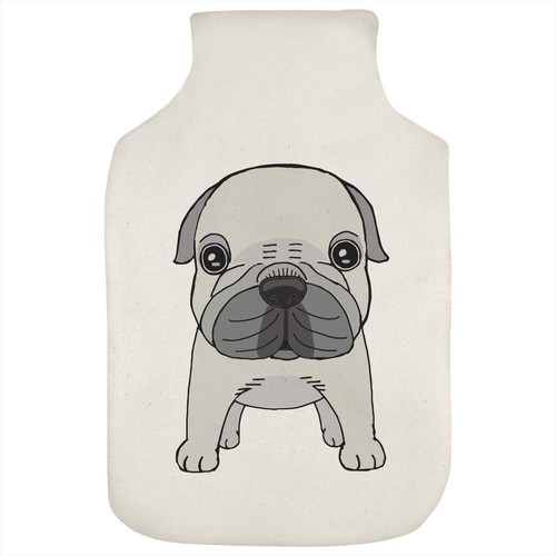 Cute pug puppy hot - pug, water
