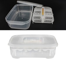 Reptile egg incubator box - egg,