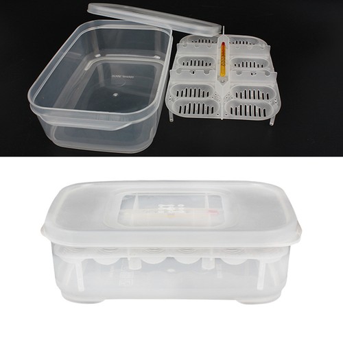 Reptile egg incubator box - egg,