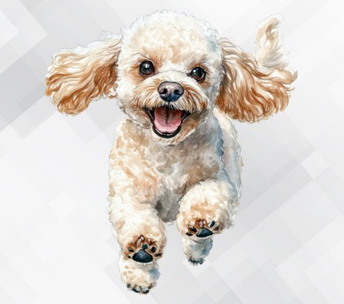 Poodle dog wall - poodle, vinyl