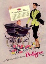 Advert Photo pedigree pram