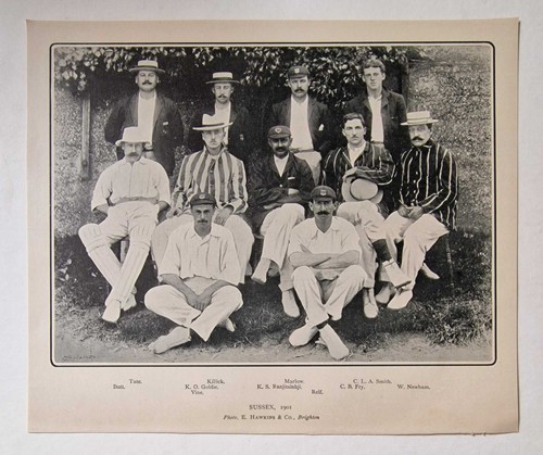 Hawkins sussex team - hawkins,