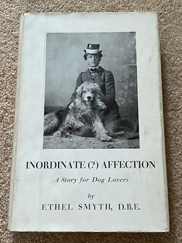 Old english sheepdog dog - sheepdog,