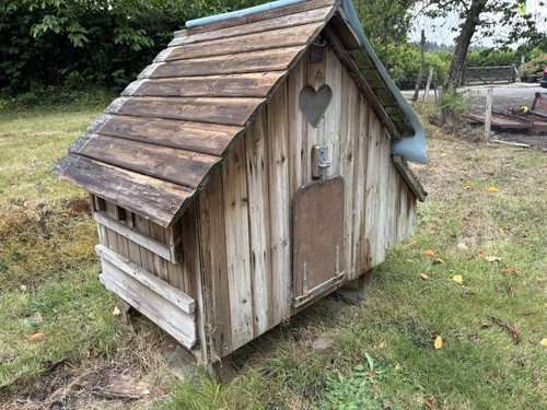 Flyte fancy hen house - flyte,