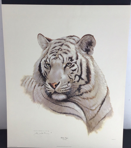 Jim oliver white - white, #183