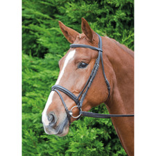 Shires Velociti GARA Comfort