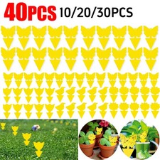 10PCS Fruit Fly Traps Yellow