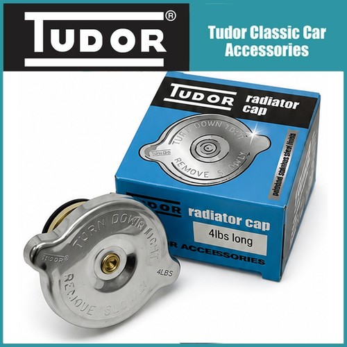 Tudor polished stainless - polished, steel