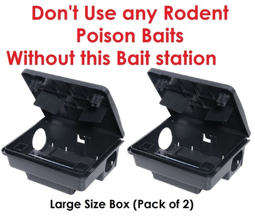 Professional rodent rat - x,