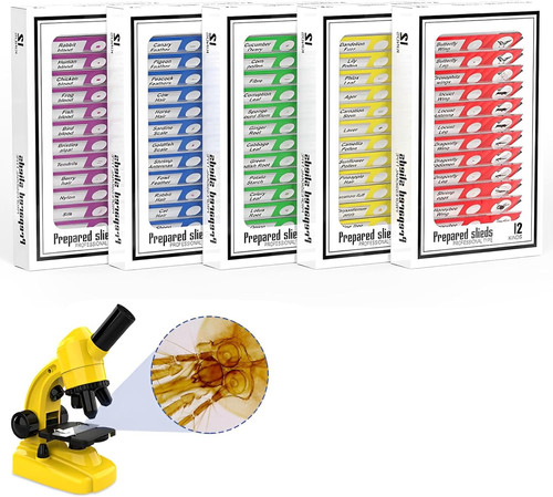 60pcs microscope slides with - 60pcs,