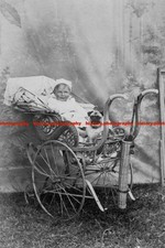 F002319 Edwardian portrait of