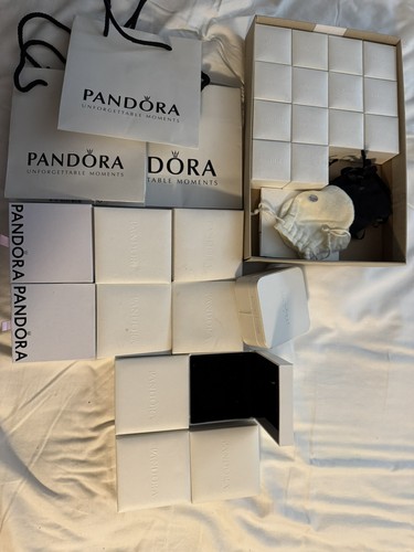 Large lot pandora - large,