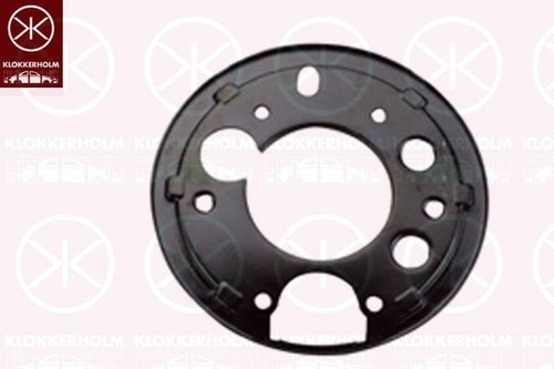 Brake backing plate dust - brake,