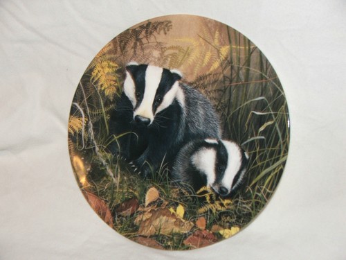 Vintage plate royal doulton - vintage,