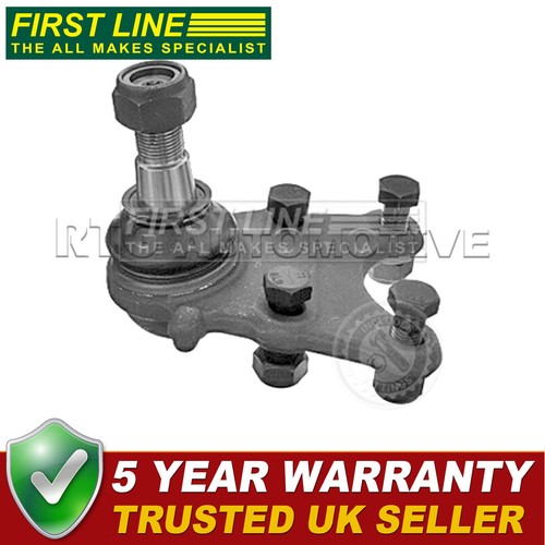 First line front lower - line,