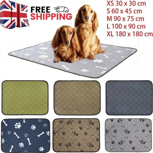 Large washable pet - large,