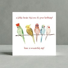 Parroty time birthday birds - parroty,