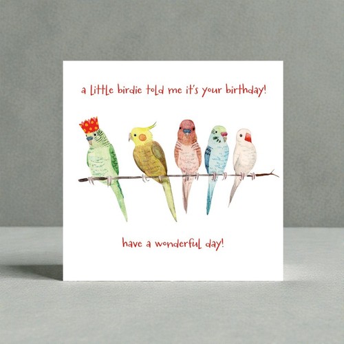 Parroty time birthday birds - parroty,