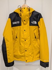 North Face Gore-Tex Mountain