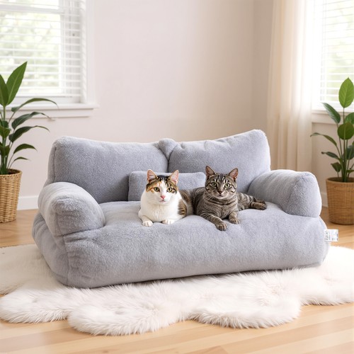 Orthopedic dog bed - dog,