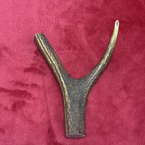 One piece deer - one, antler,