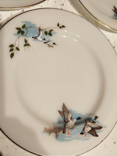 Vintage jaj pyrex wild - jaj,