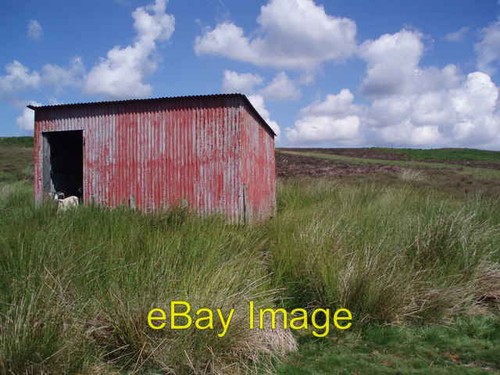 Photo 6x4 sheep shelter blythe - 6x4,